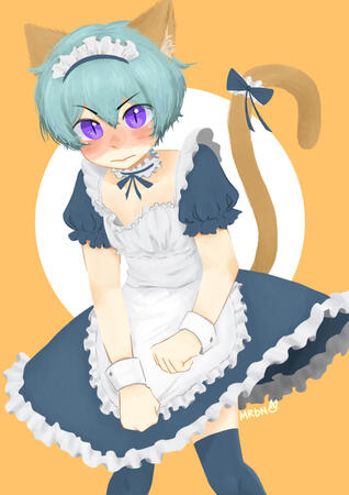 cat boy maid dress